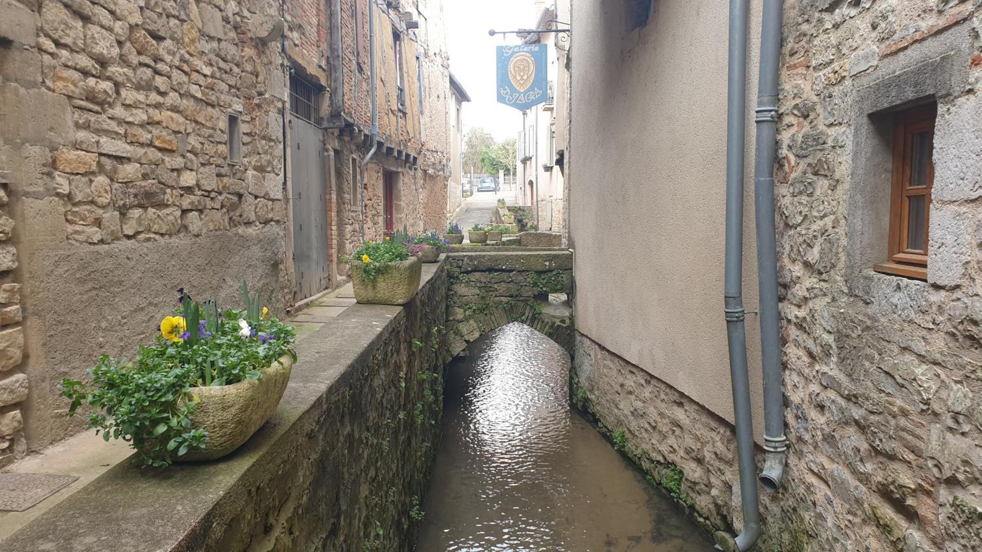 Seuls En Pleine Nature - Gite La Cote Blanche Puygaillard-de-Quercy Dış mekan fotoğraf
