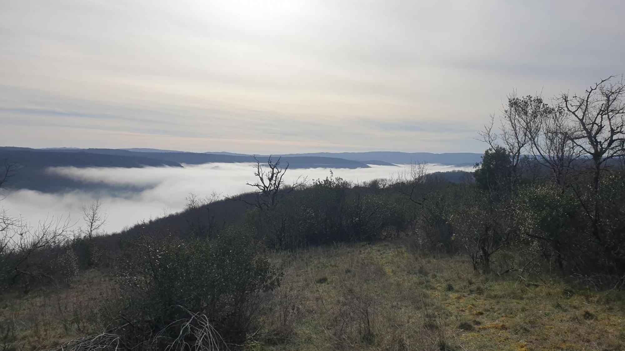 Seuls En Pleine Nature - Gite La Cote Blanche Puygaillard-de-Quercy Dış mekan fotoğraf