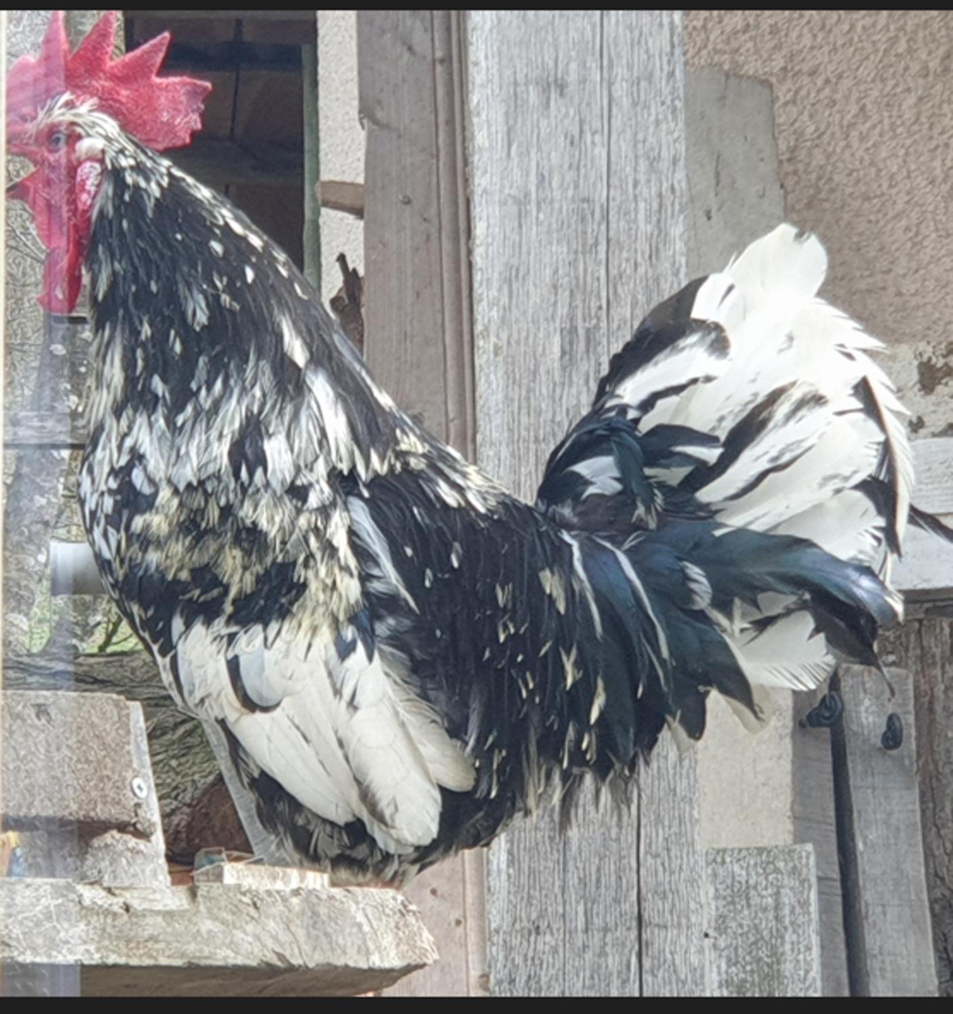 Seuls En Pleine Nature - Gite La Cote Blanche Puygaillard-de-Quercy Dış mekan fotoğraf